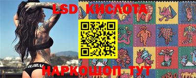 крисы Коммунар