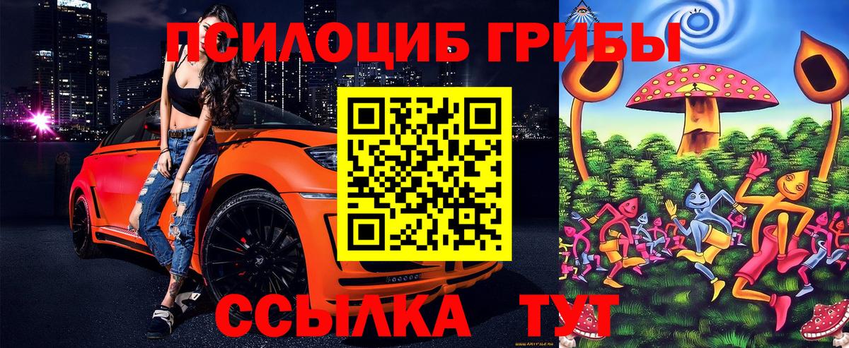 Заволжье  Псилоцибиновые грибы прущие грибы  Галлюциногенные грибы MAGIC MUSHROOMS  Вход с VPN 