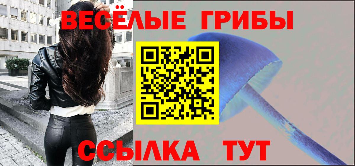 Псилоцибиновые грибы Cubensis Заволжье